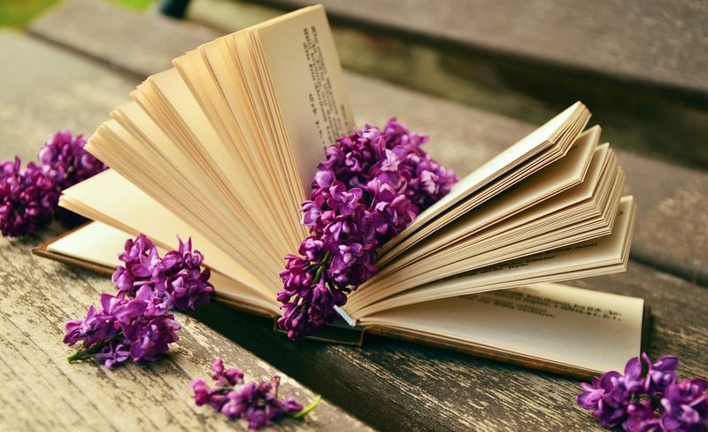 Secondhand Books